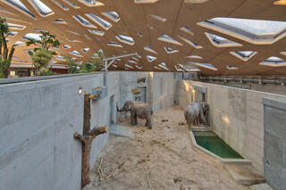 Elefantenpark, Zoo Zürich, Fischer Architekten AG